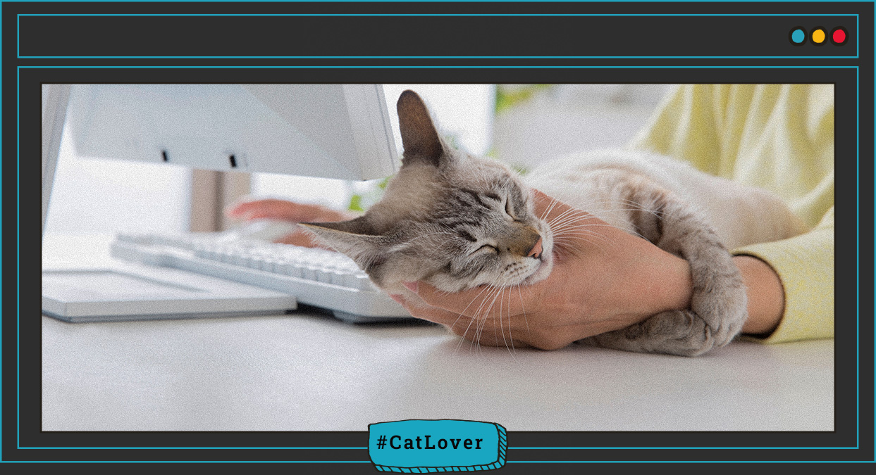 porque hay que desparasitar a los gatos